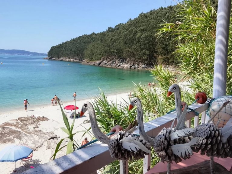 Nuestras bichitas hoy disfrutan del paisaje.Viernes 4 de julio de 2025 🐦🥥🏖🍺31veranosenAgra 768x576
